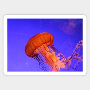 JELLYFISH GLOWING IN THE BLUE OCEAN DESIGN Sticker